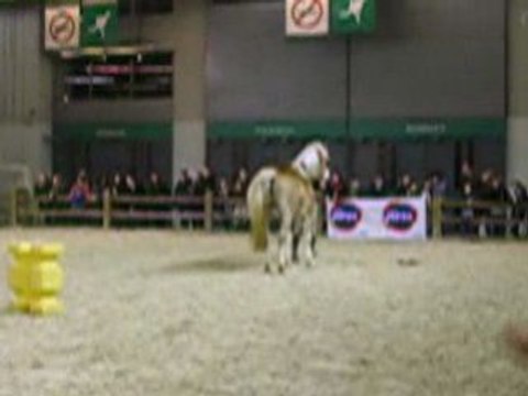 Pauline et Naiade (3) salon du cheval 2008