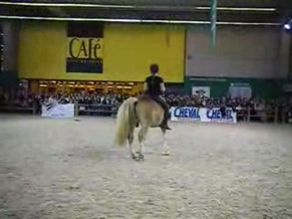 DSCF0424