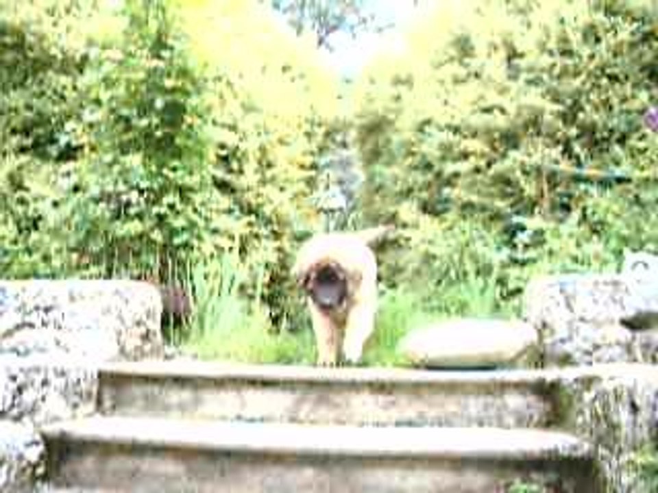 escaliers, le retour