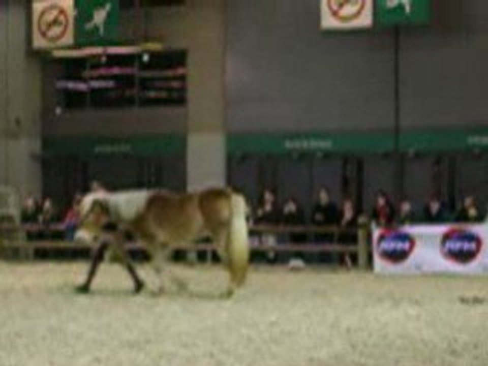 Pauline et Naiade (4) salon du cheval 2008