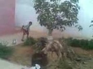 Prendre le taureau par les cornes