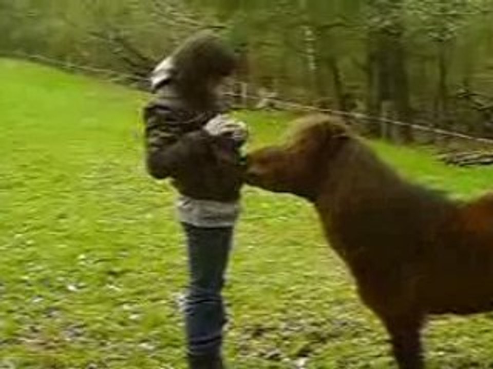 CLIP0039