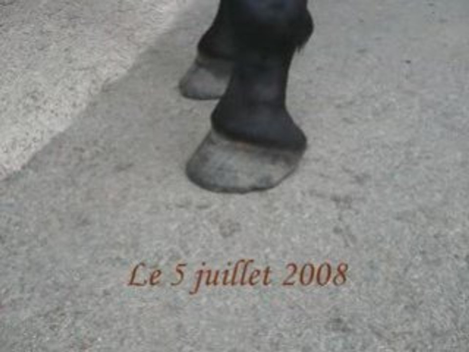 Anterieur_gauche