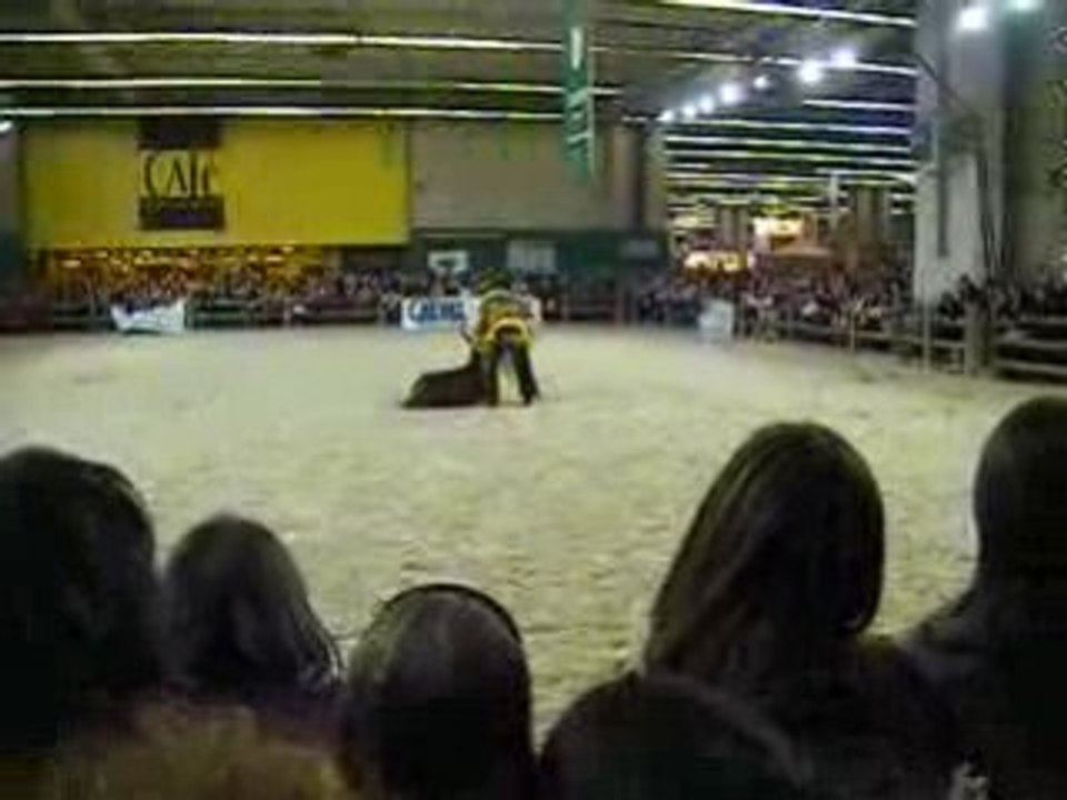 DSCF0418