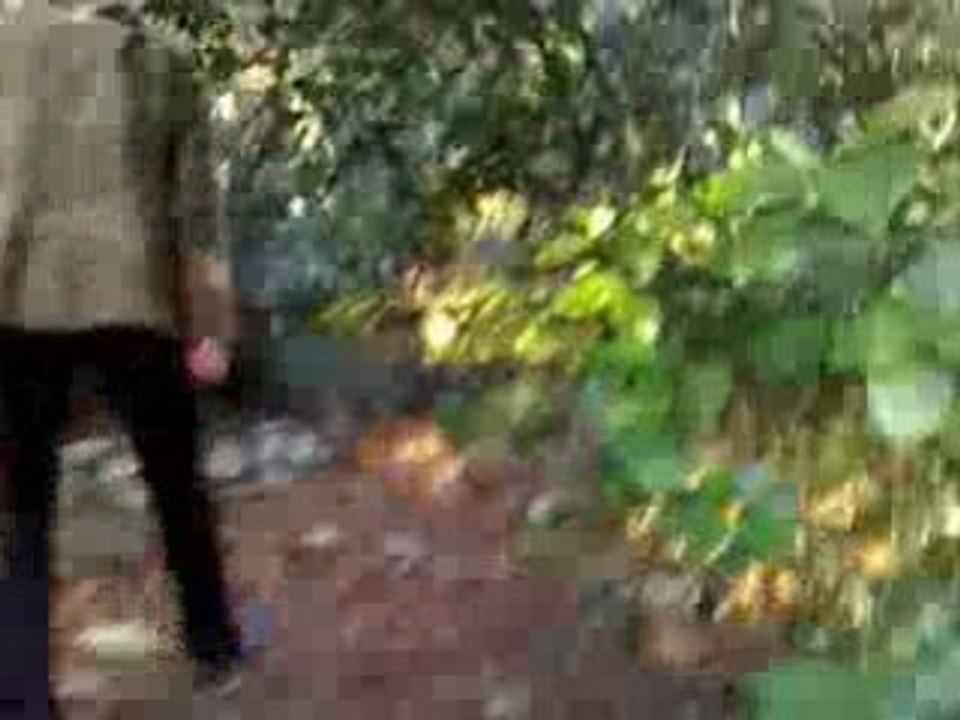 maison anis chadia 2