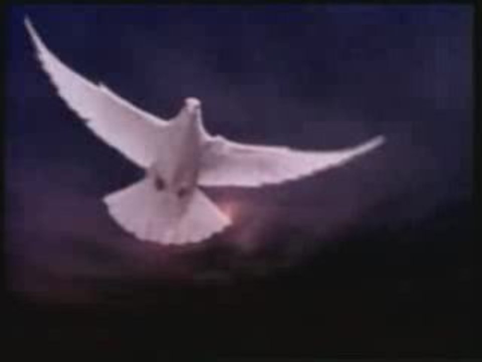 Mario Laurin Grace Infinie