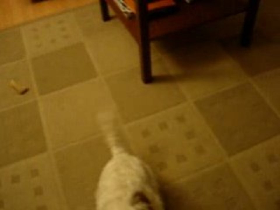 WesTie rentrer maison