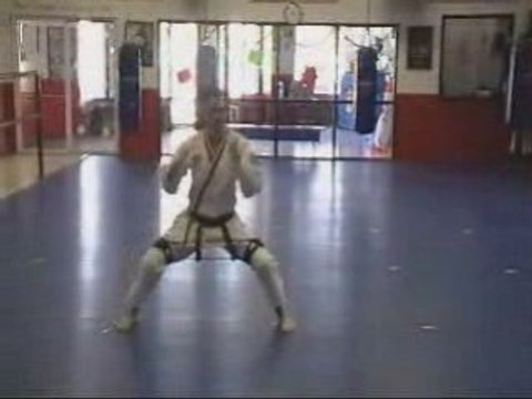 Fast Kicks Martial Arts Kinetic Bands training Level 1