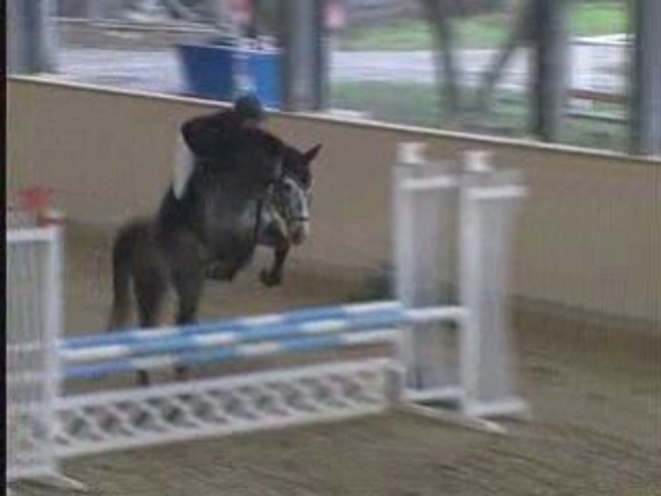 Aurelio_A0_Schönkirchen