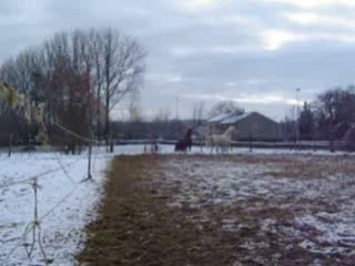Tobee et casou dans la neige
