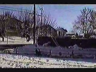 Rottweiler Balloon Challenge