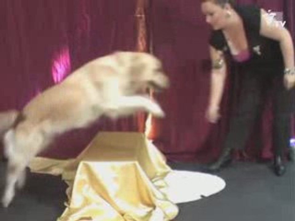 Sauvons le père Noël !