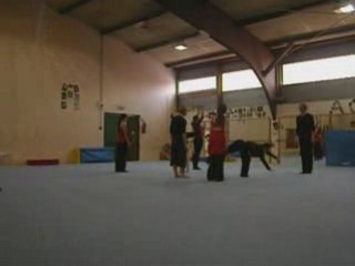 Acrosport 2009