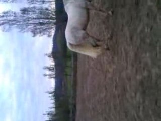 pablo se defoule