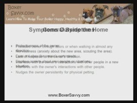 Prevent Behavioral Problems Through Boxer Dog Training