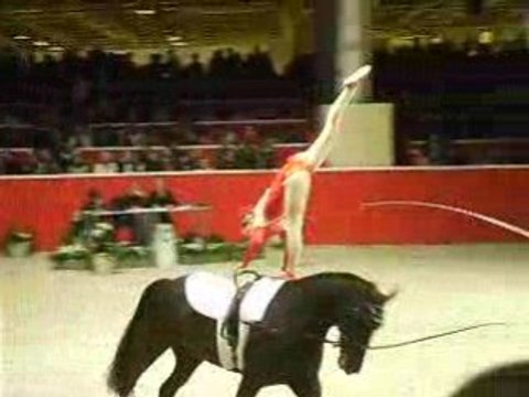 voltige salon du cheval