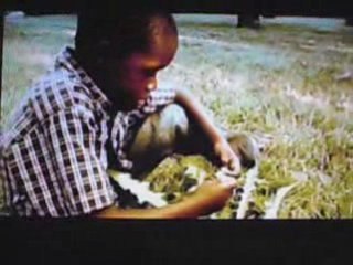 Genios Fidalgos STOP SIDA