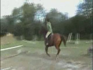 moi e boubou nos progression