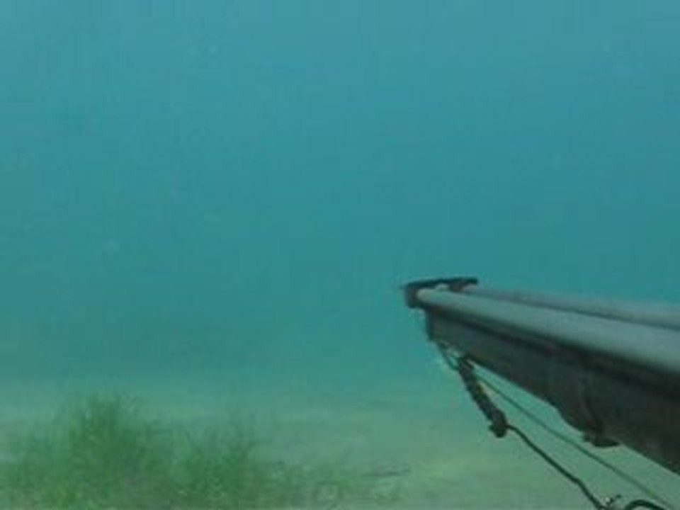 Spearfishing - Mustafa Paker Çipura-Sparus Aurata Avı #2