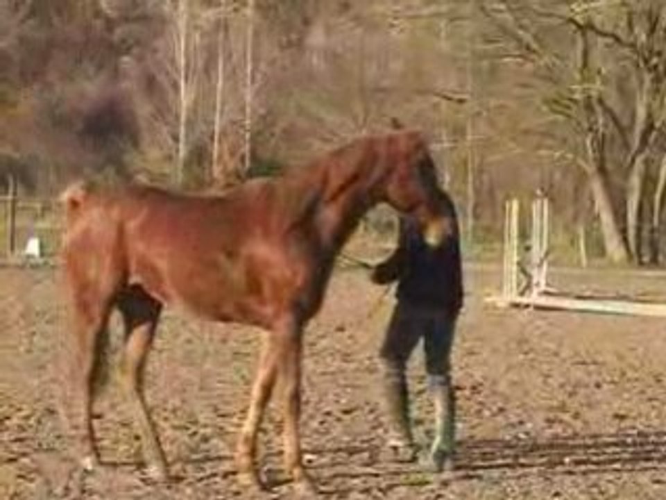 Nafaa - Travail du cercle