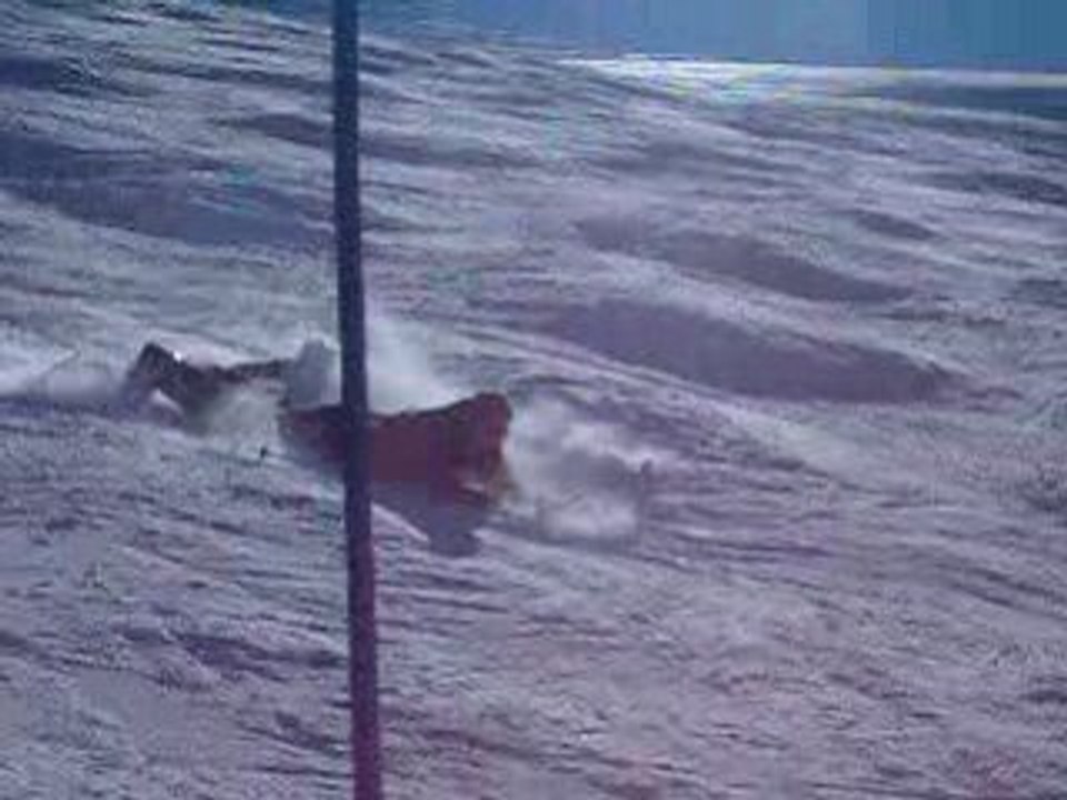 Video2pouille