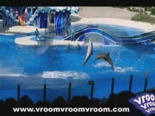 Orlando City Guide and Site Scene