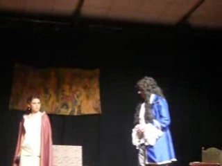 Roi soleil représentation l'état c'est moi