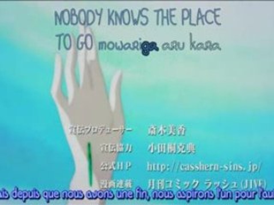 Ending Casshern SIns