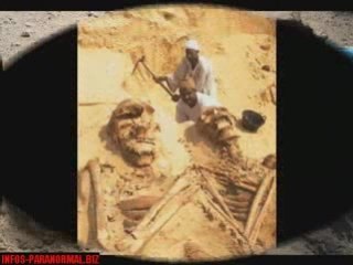 incroyable mais vrai !