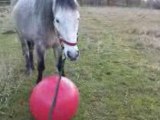 Quidam footeux?