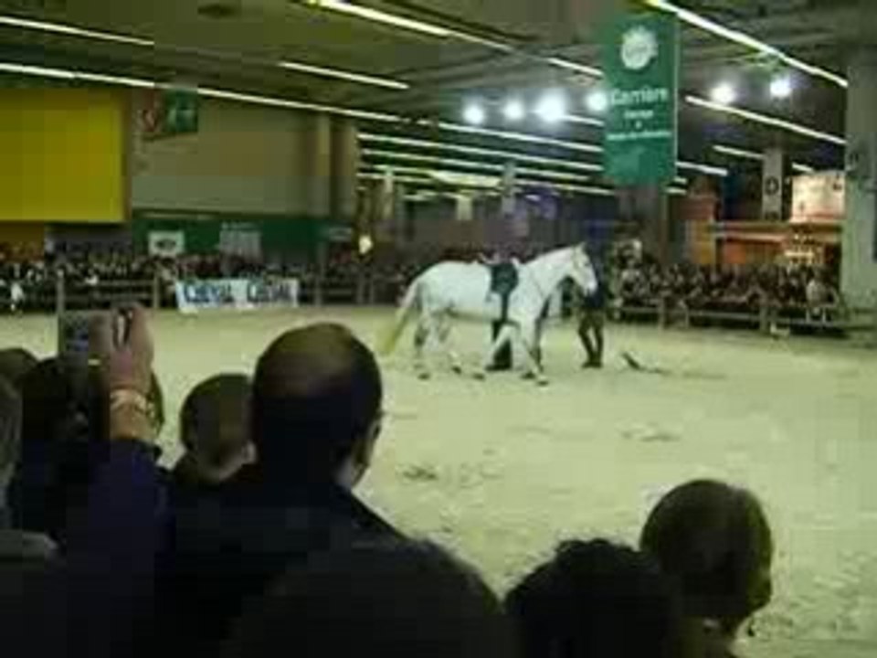 DSCF0411