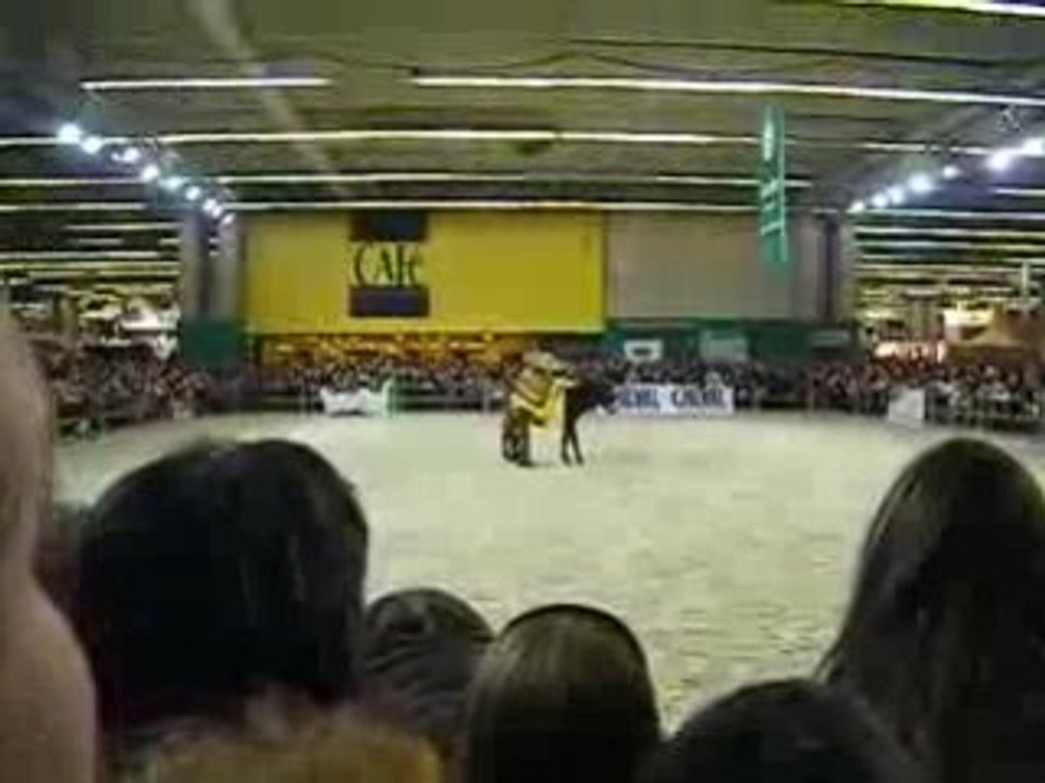 DSCF0419