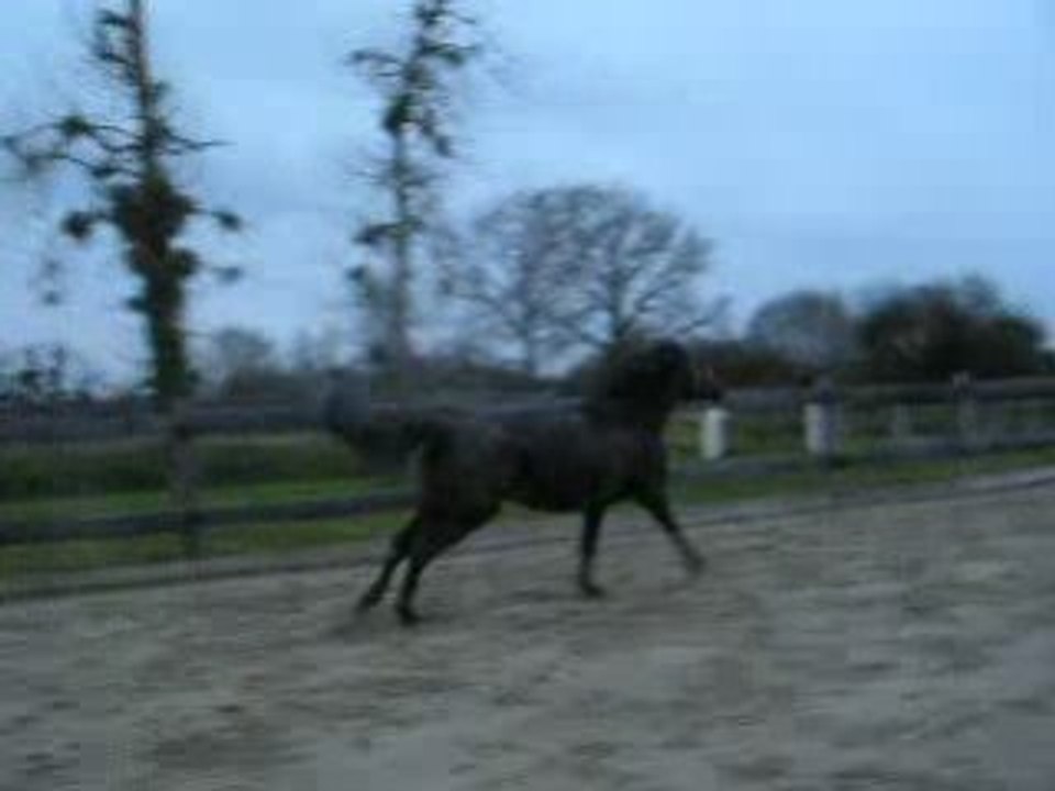 Quiator you hou