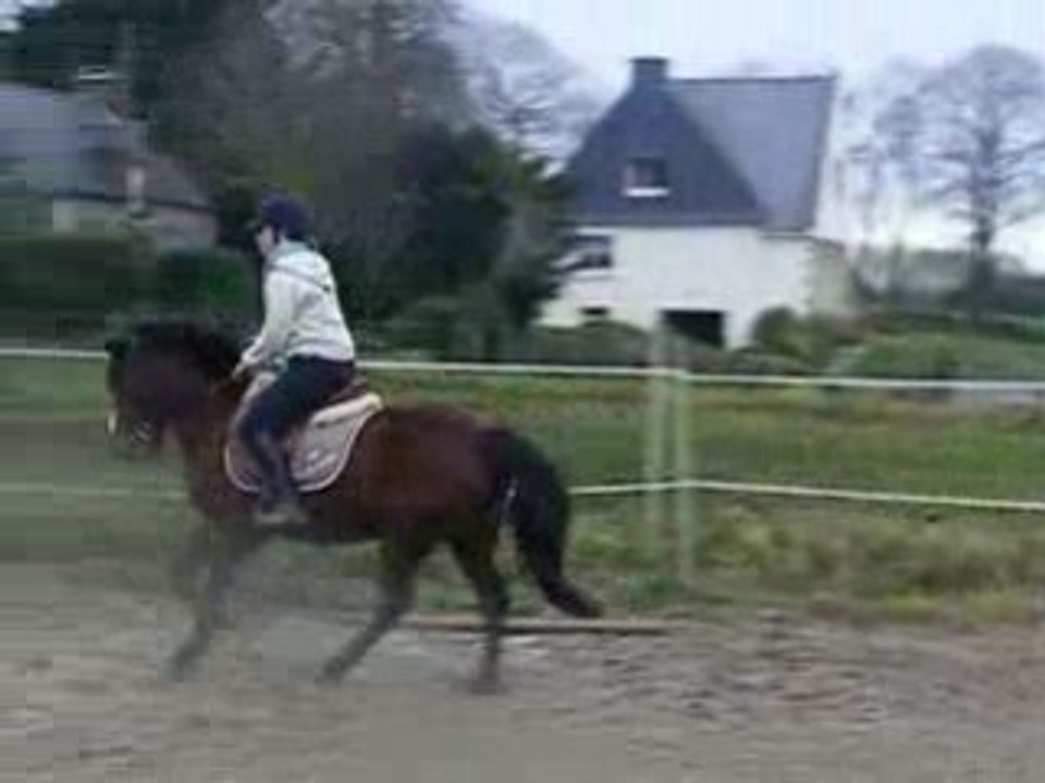 le 11 décembre 2008