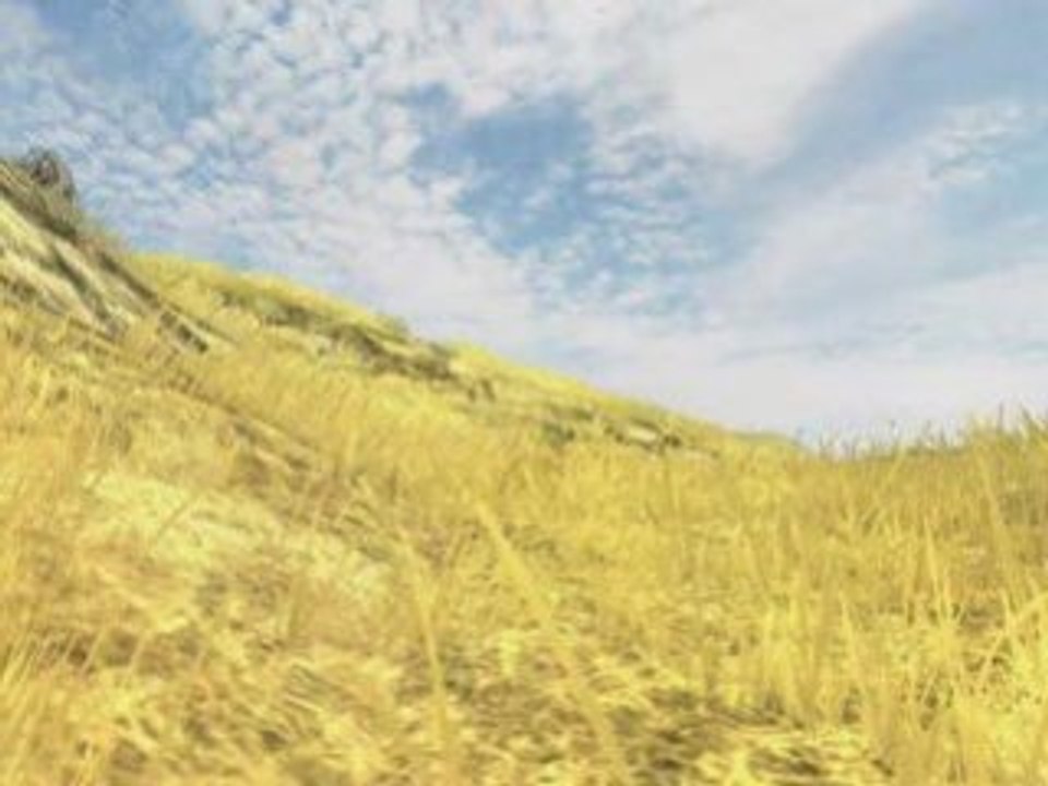 Mine