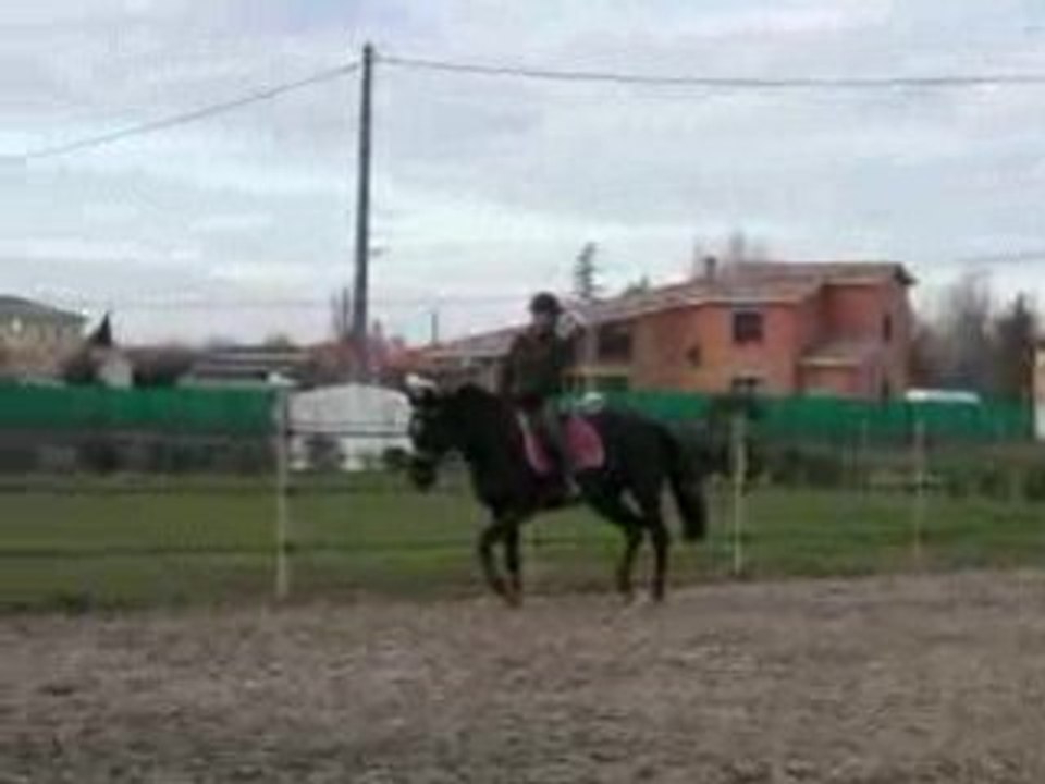 DSCN2232