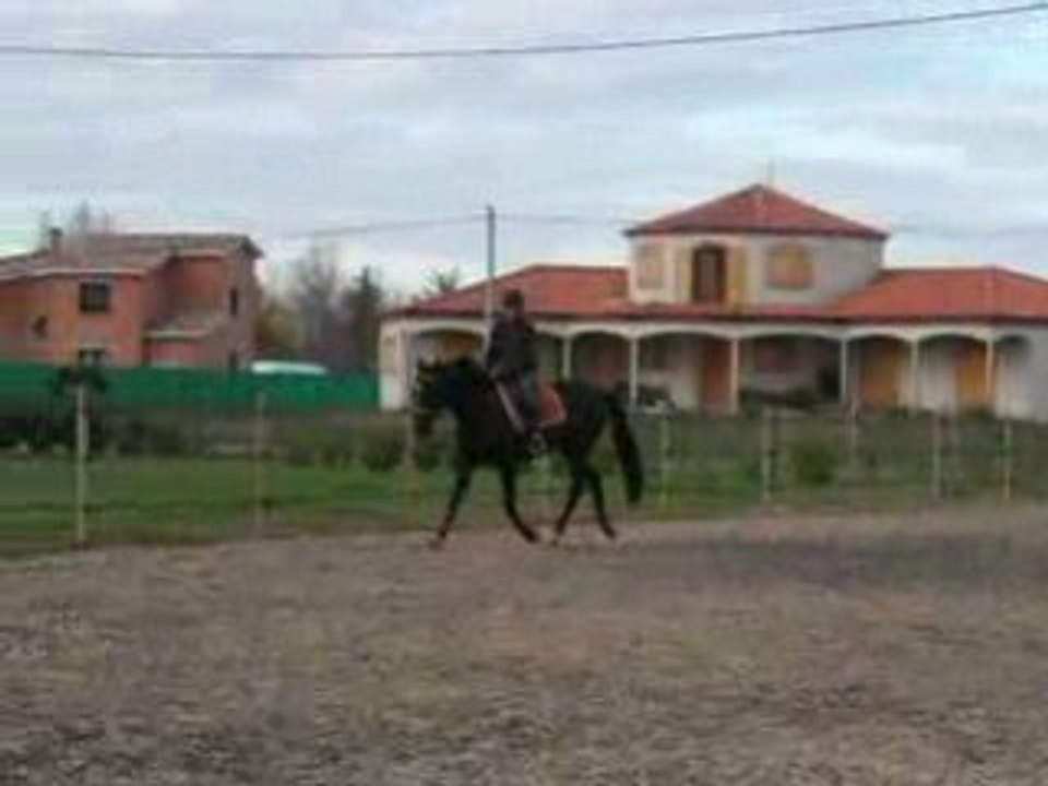DSCN2231