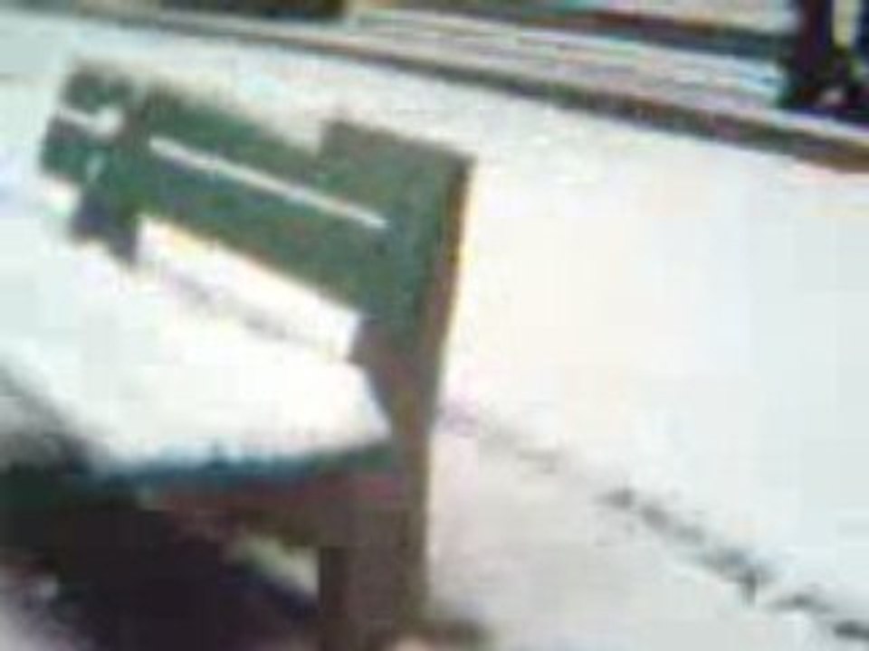 nieve 2