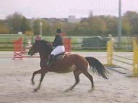 Moi & Kinine à Maisons Laffitte le 09 Novembre 2008 (Club 3)