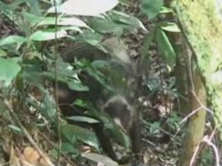 Extrait 1 mois au paradis