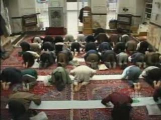 Shia Mutta Exposed, Documentary In Iran 2