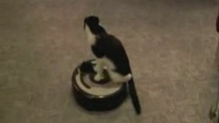 Roomba Driver