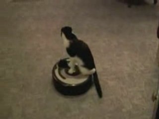 Roomba Driver