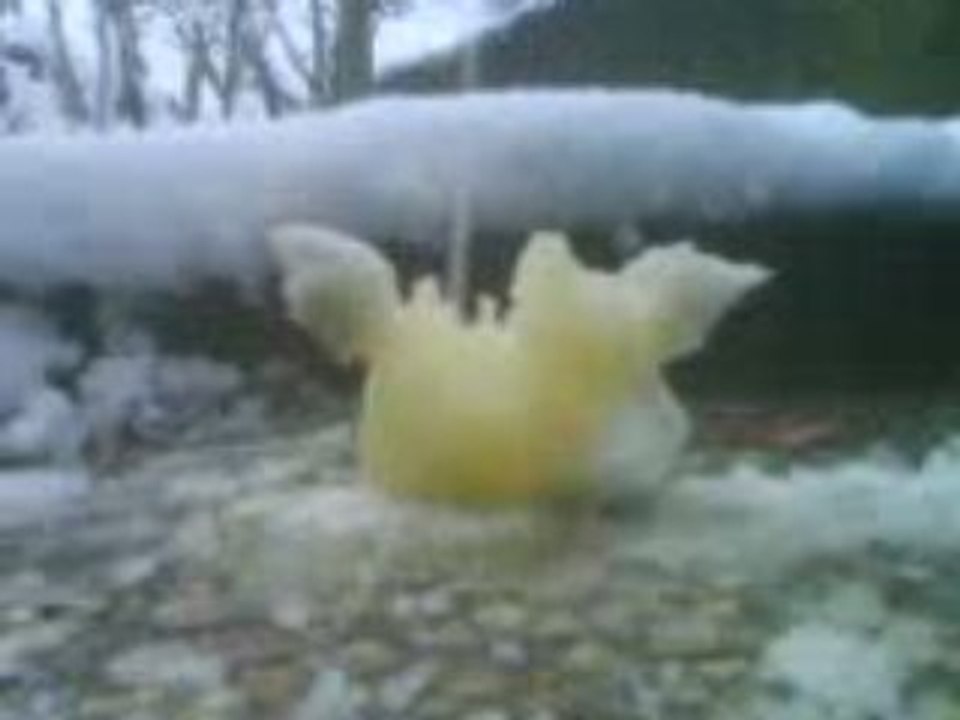 Hiver 2008