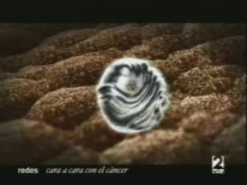 Cancer y quimioterapia