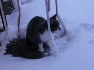 Nuage et la neige première déc