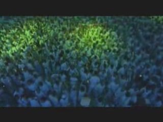 Armin Van Buuren- Sensation white 2006