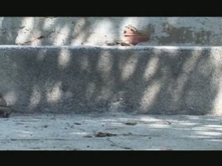 Cet été faites du sport (teaser 2 - la tortue)