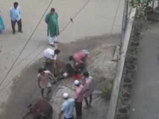 Sacraficing a cow during eid in Dhaka, Bangladesh