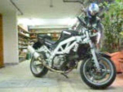 Suzuki sv 650 Leo vinci 1